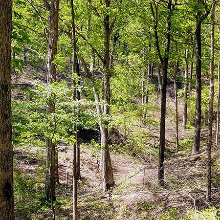 IMG_20190429_145115488_HDR